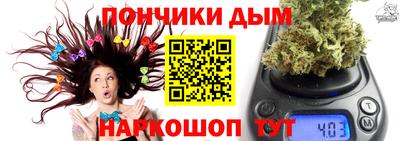 apvp Камышлов