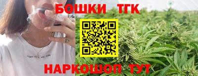 apvp Камышлов